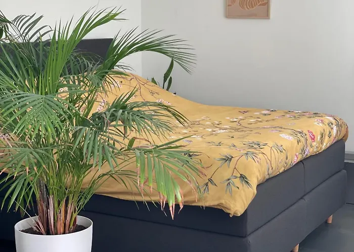 't Voorthuisje - De Romantische Getaway Voor Twee Voorthuizen